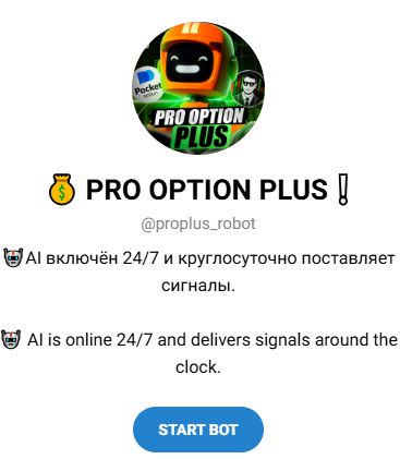 Pro Option Plus