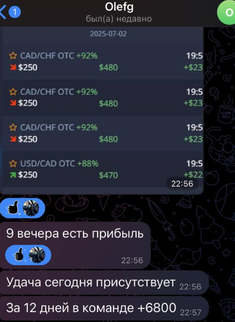 Pro Option Plus