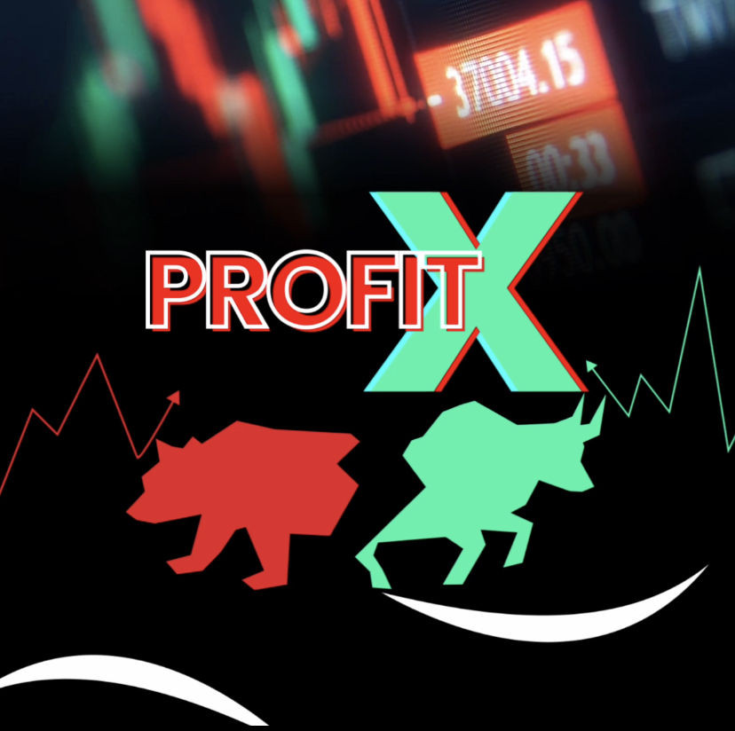 profit x