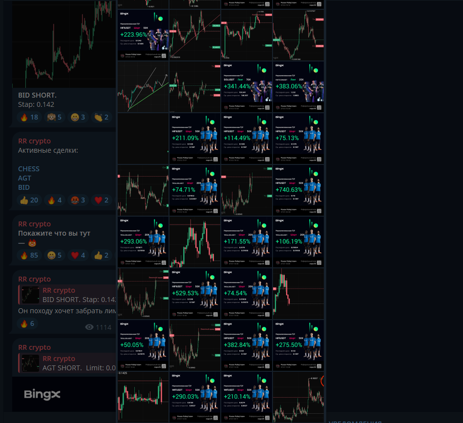 rr crypto телеграм
