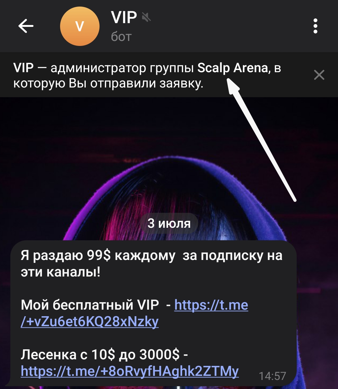 Scalp Arena
