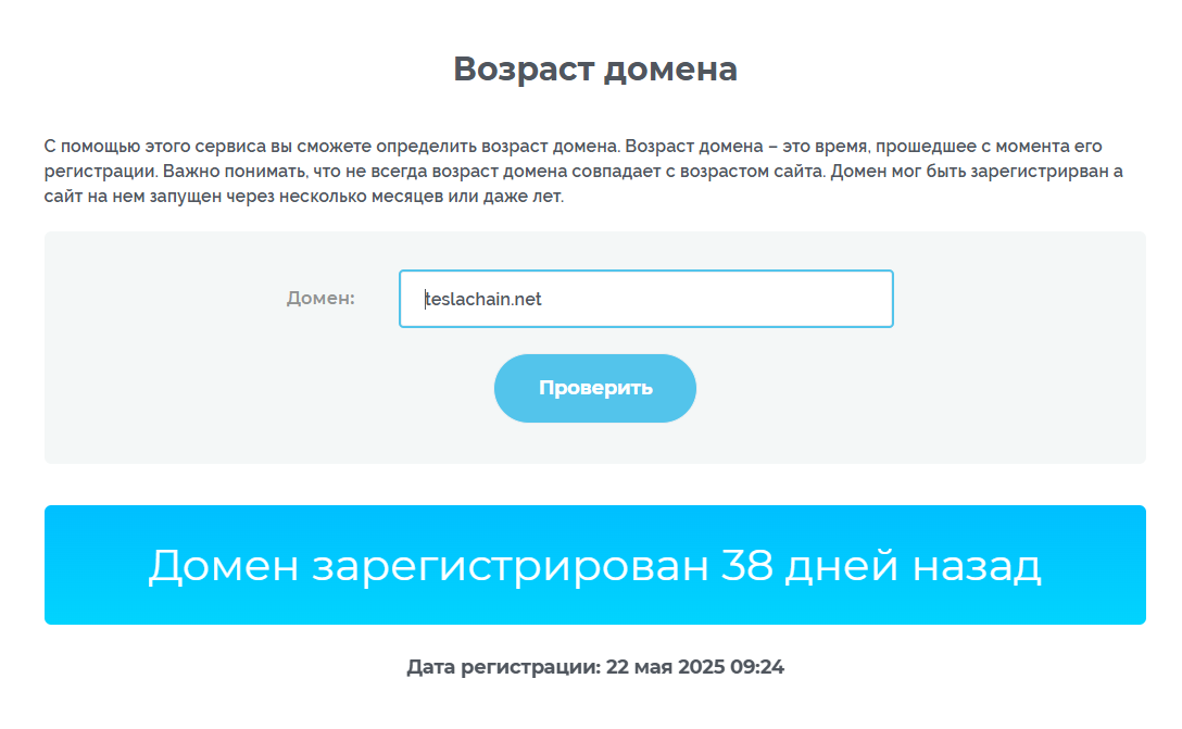 teslachain net