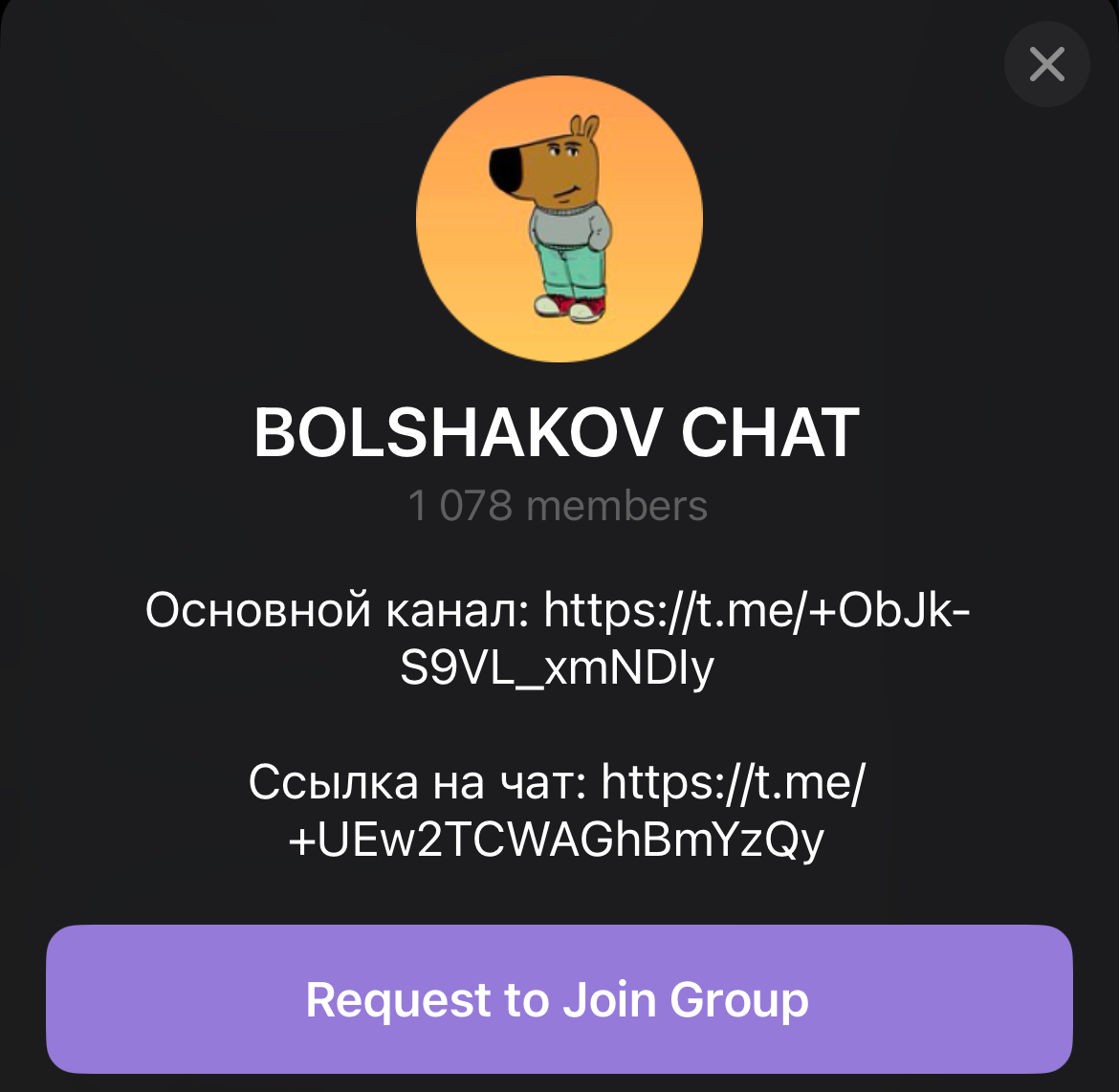 Владислав Большаков