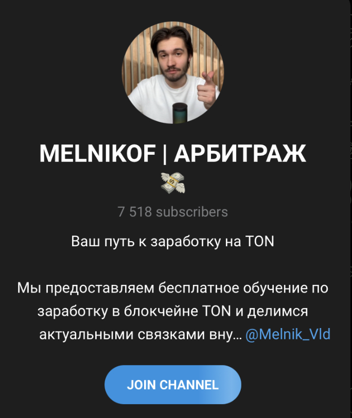 владислав мельник заработок на тон отзывы