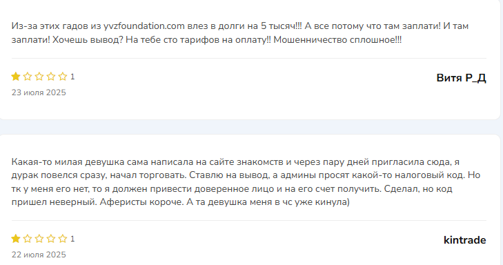 yvzfoundation обзор