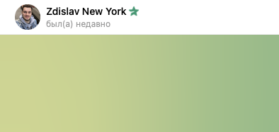 Zdislav New York