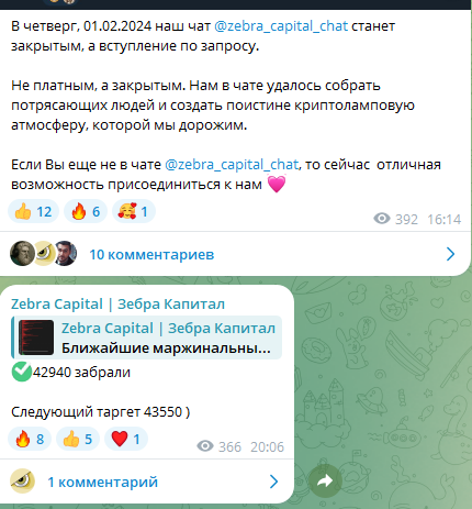 зебра капитал