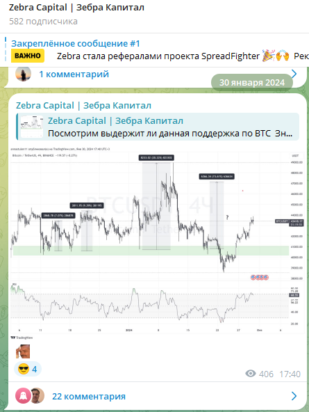 зебра капитал