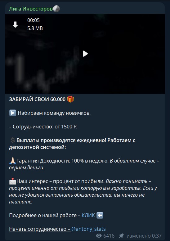 антон петелин трейдер