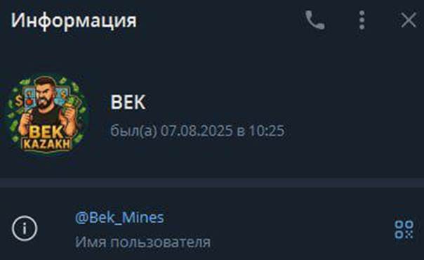 BEK KAZAKH bot
