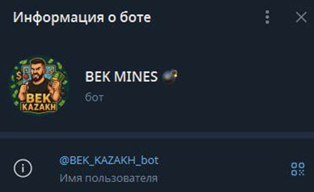 BEK MINES