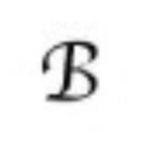 Bitlape