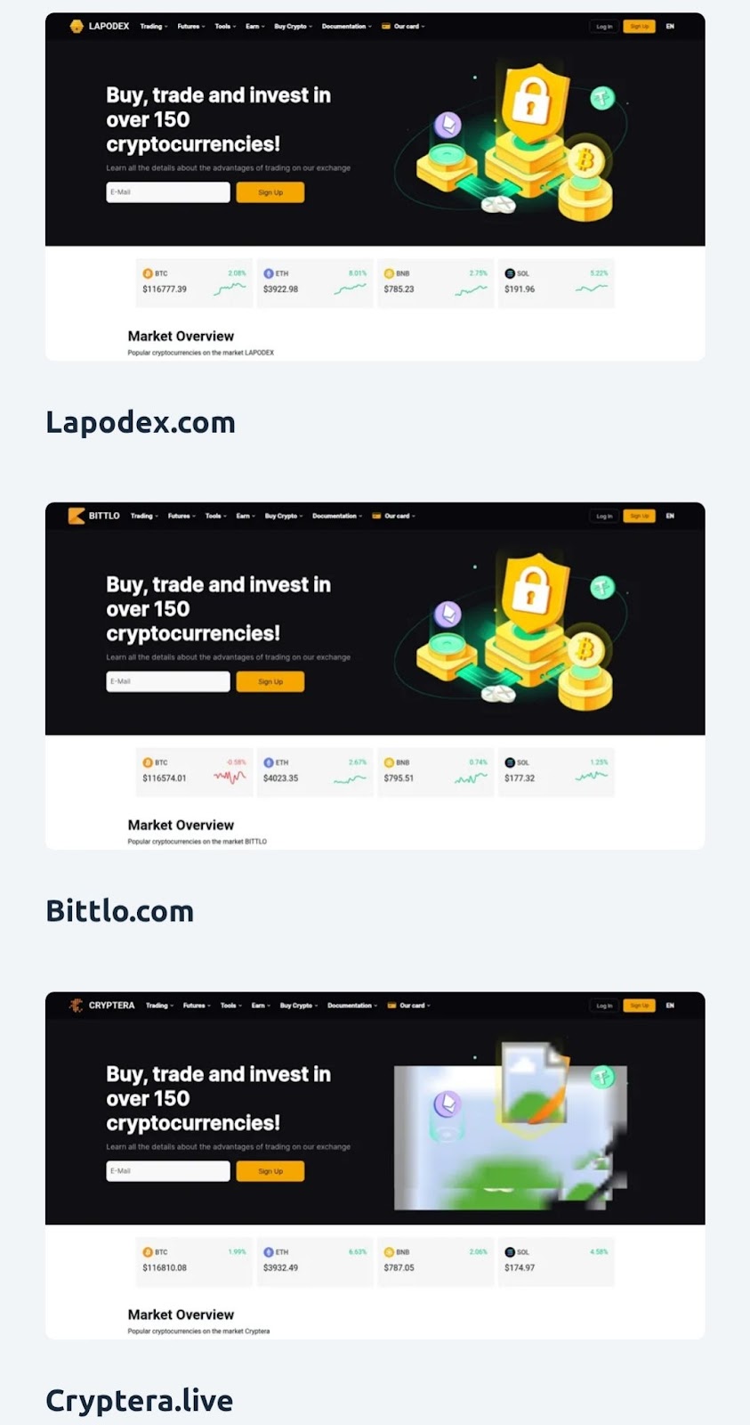 coin wave biz