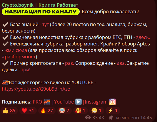 Crypto Boynik Крипта Работает