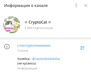CryptoCat