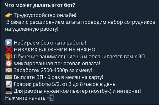 Денис Финансовый отдел