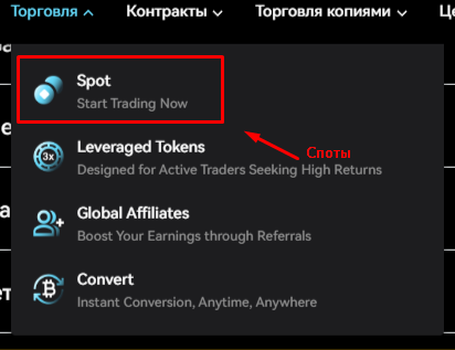 gaiaex развод