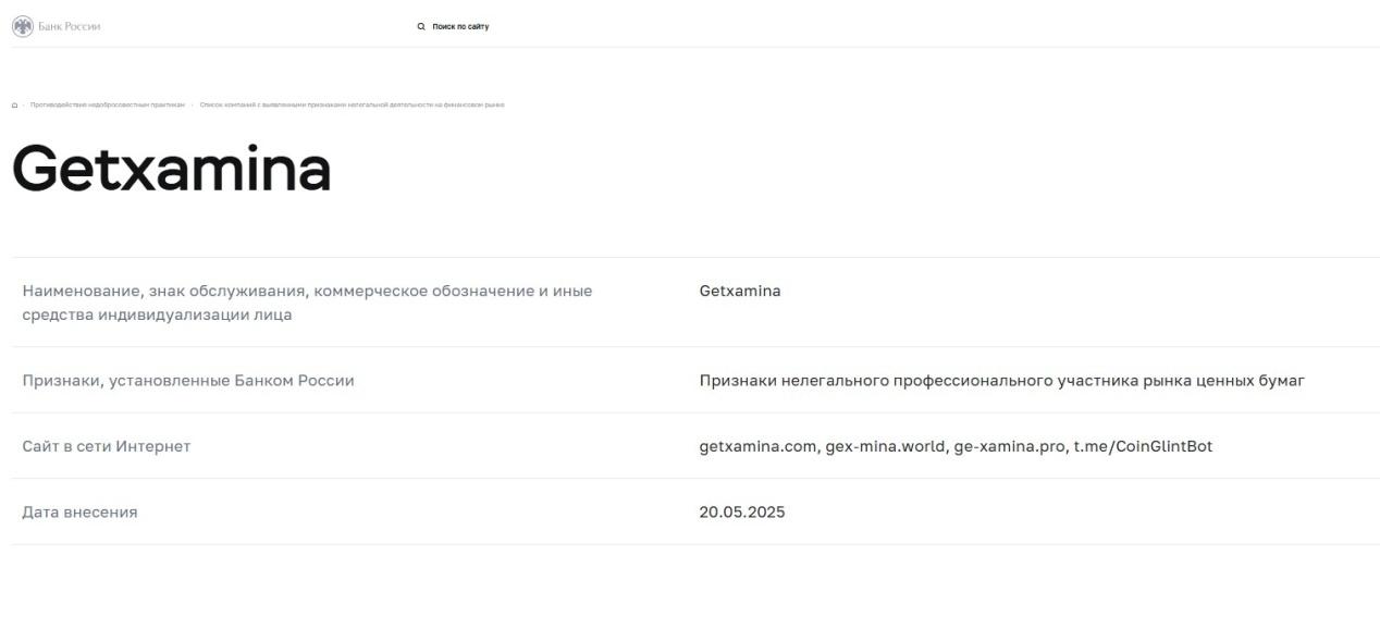 gt xamina biz