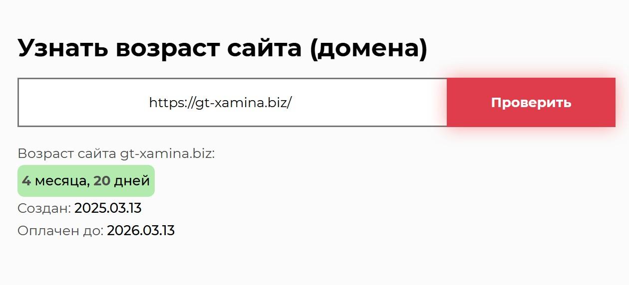 gt xamina biz