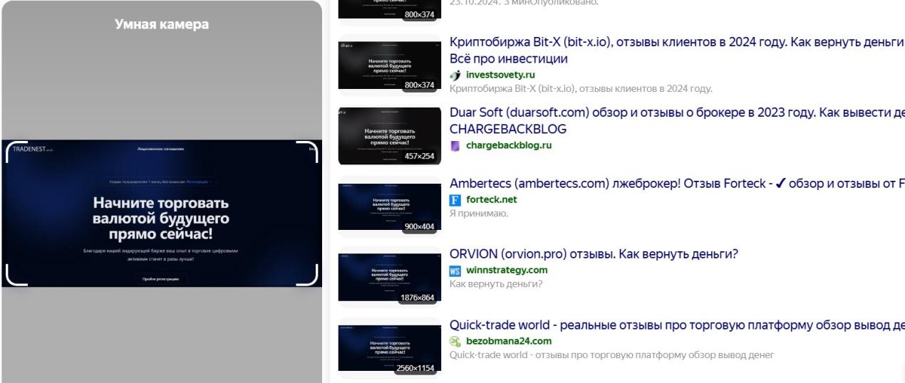 https tradenest work отзывы