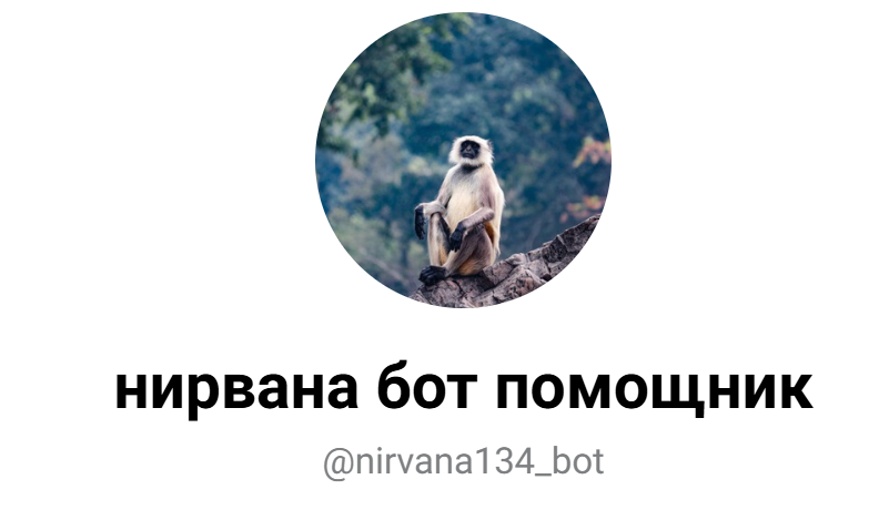 katana телеграмм канал