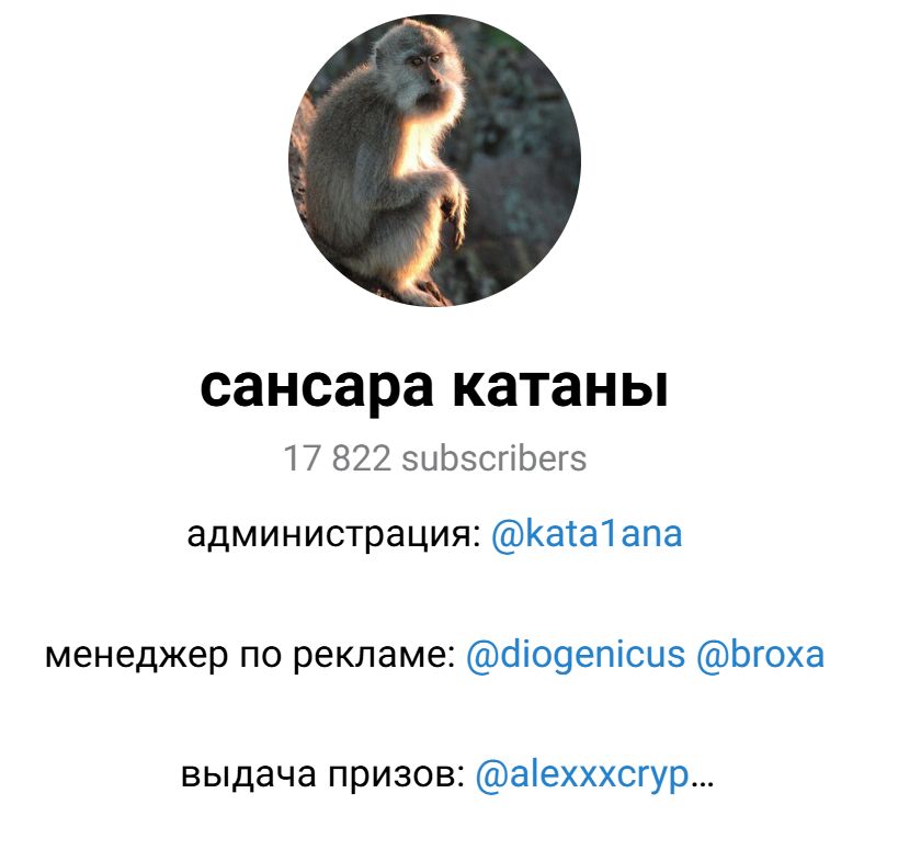 катана тг канал