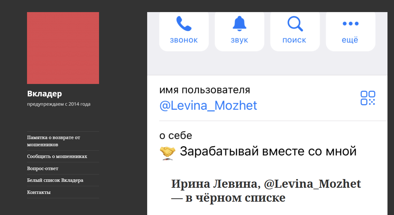 левина может инвестиции