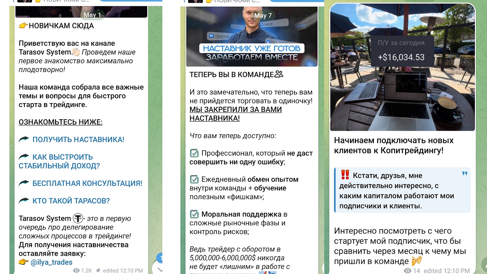 тарасов систем телеграм отзывы