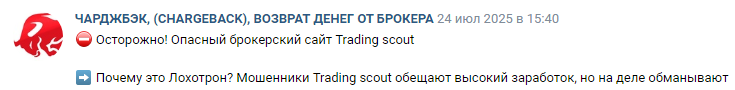 trading scout
