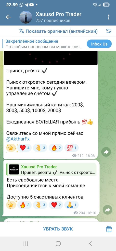 Xauusd Pro Trader