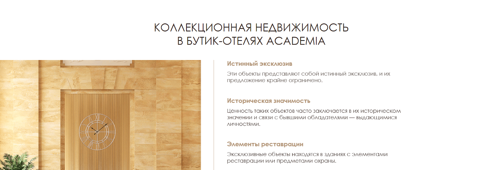 academia suit санкт петербург доход отзывы инвесторов
