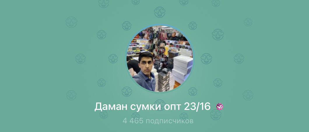 alina sumki телеграм