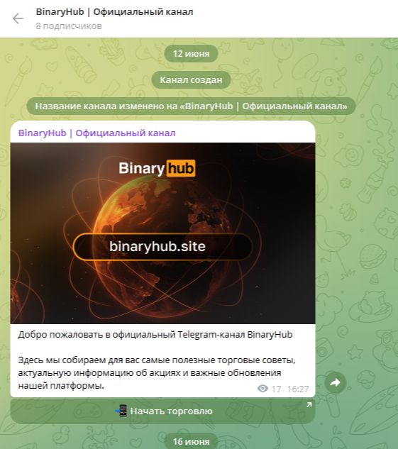 Binaryhub брокер