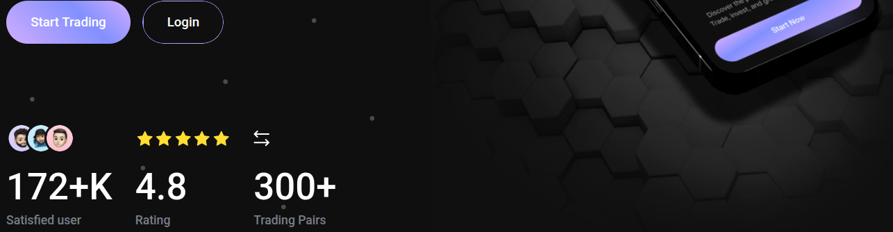 bitvort com