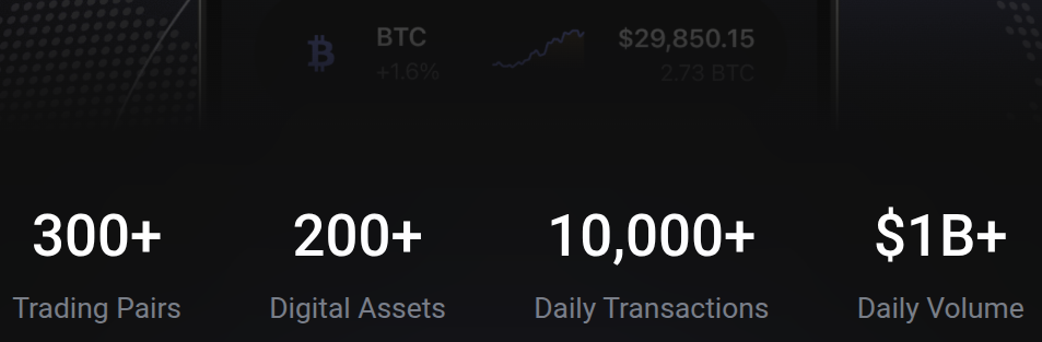 bitvort crypto