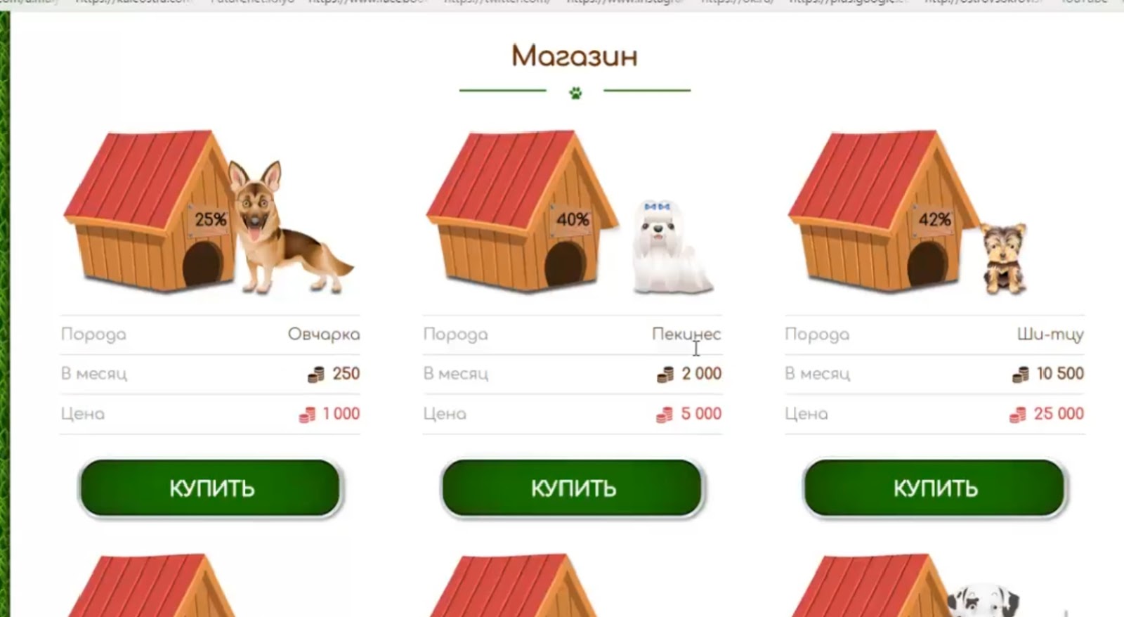 Cashdog отзывы Cashdog отзывы