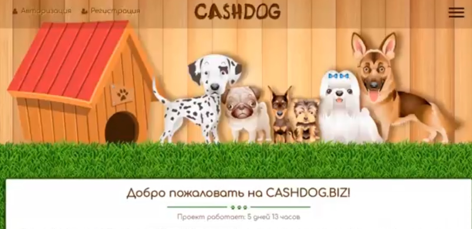 Cashdog отзывы Cashdog отзывы
