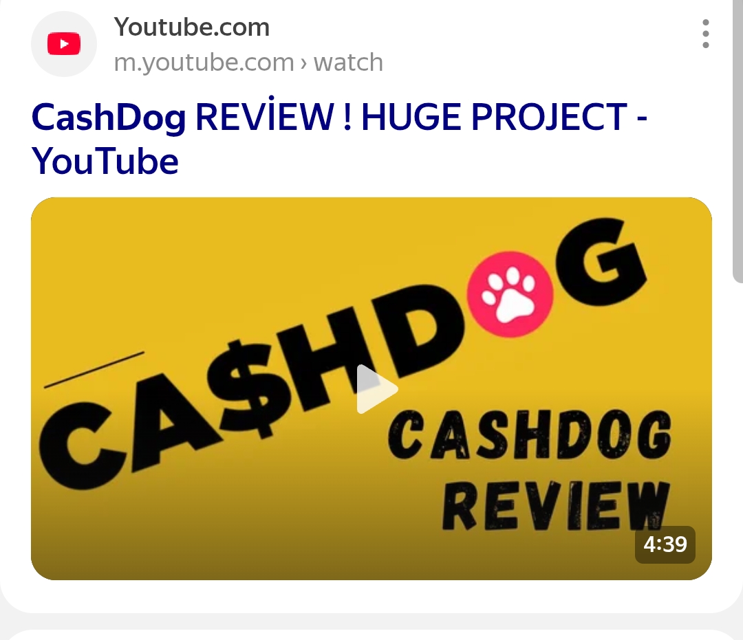 Cashdog отзывы Cashdog отзывы