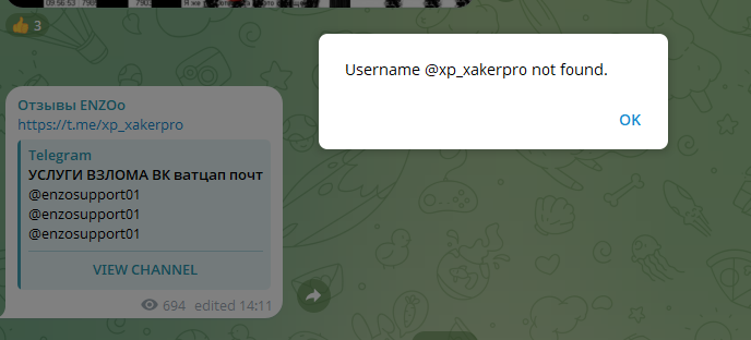 enzosupport01