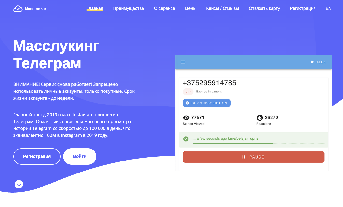 масслукинг тг масслукинг тг