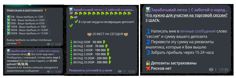 natali investt