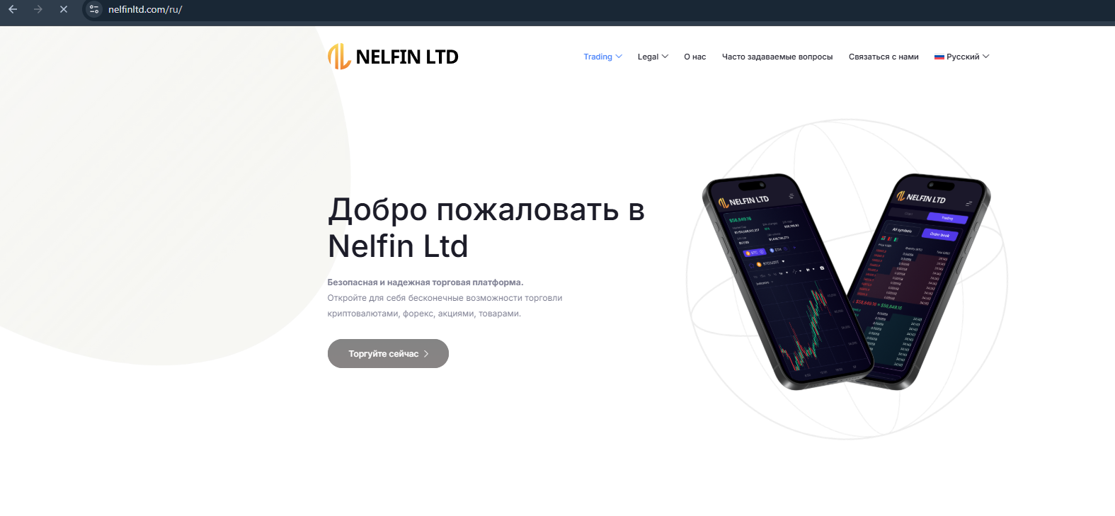 nelfin ltd