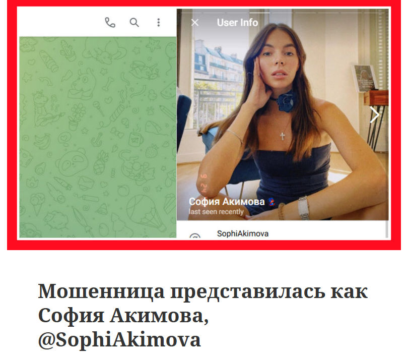 софия акимова инвестиции