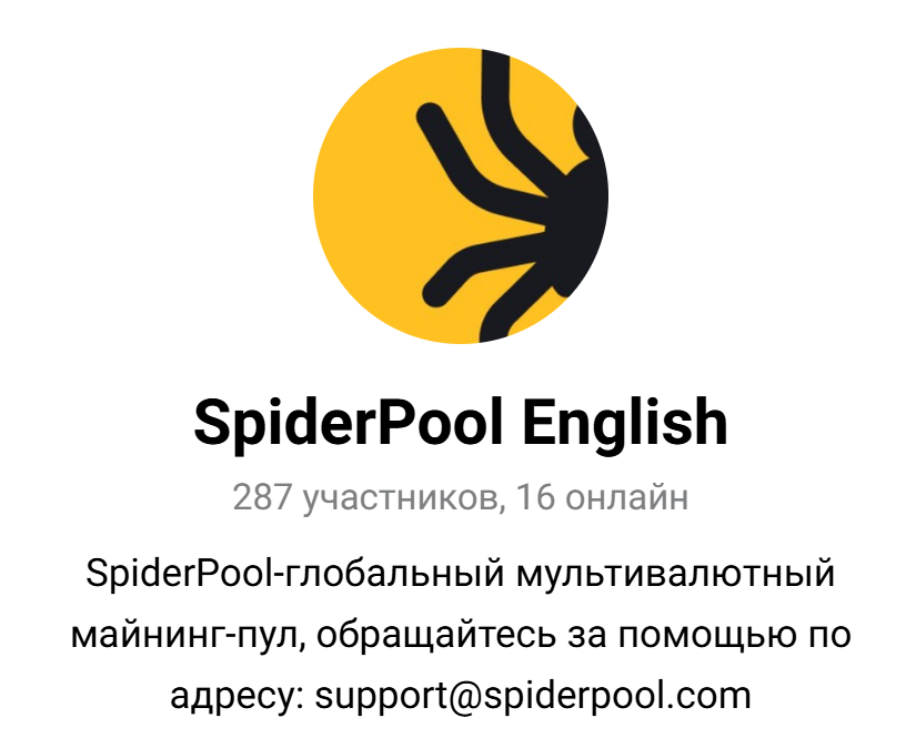 spider pool