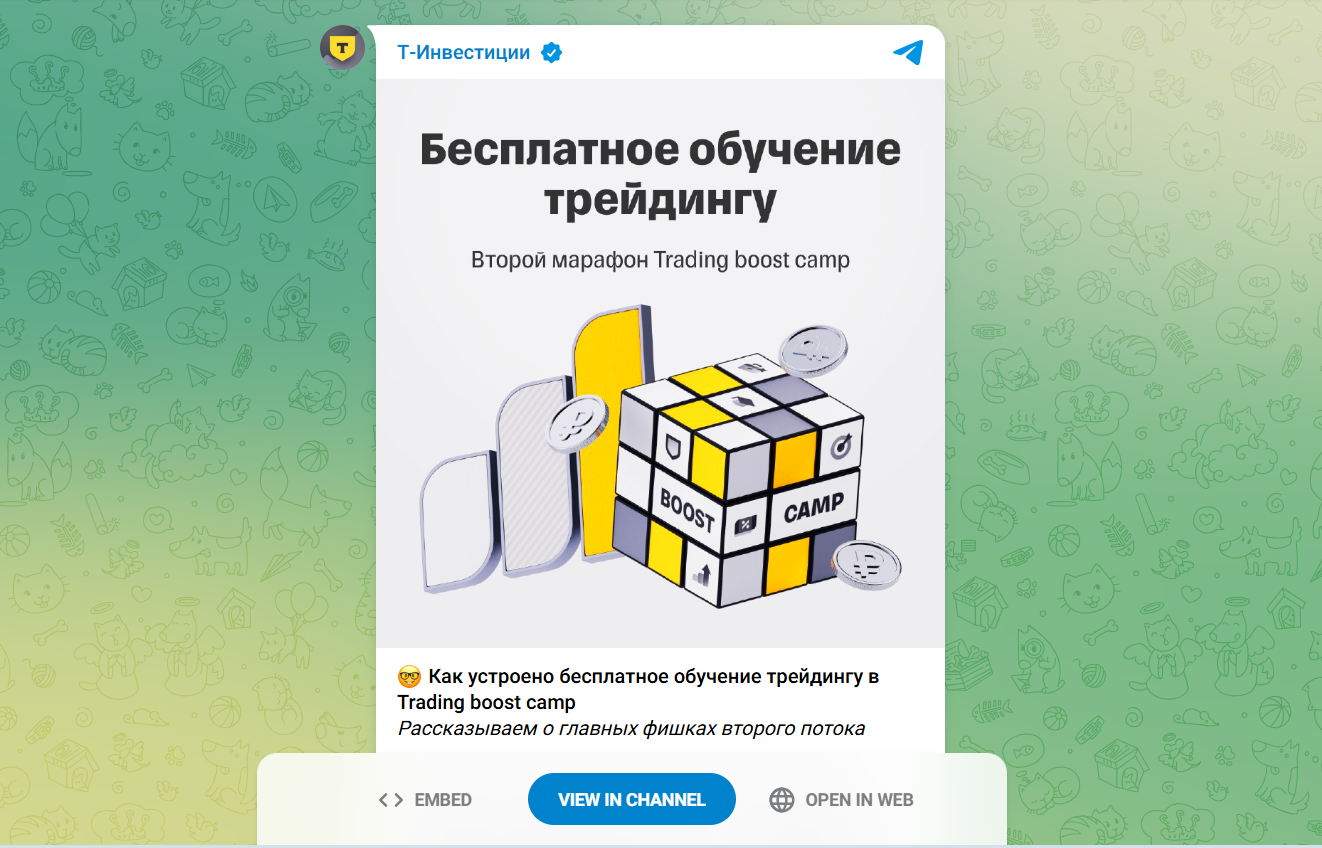 trading boost camp отзывы