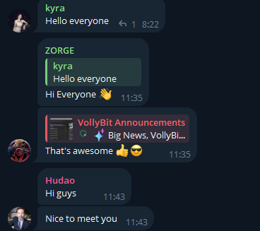 vollybit com