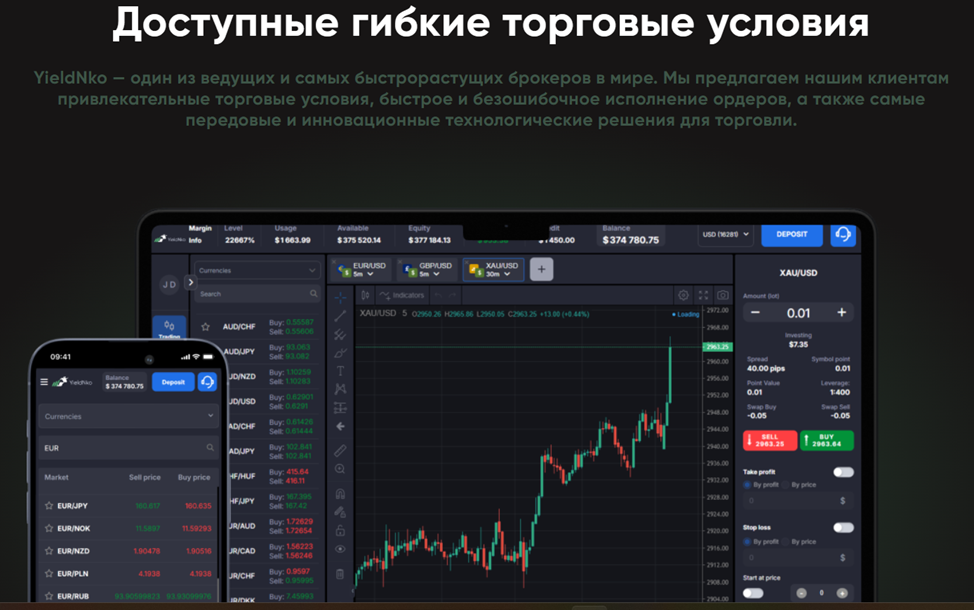 yieldnko отзывы yieldnko отзывы