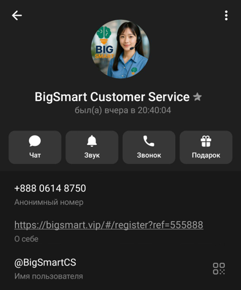 Bigsmart vip