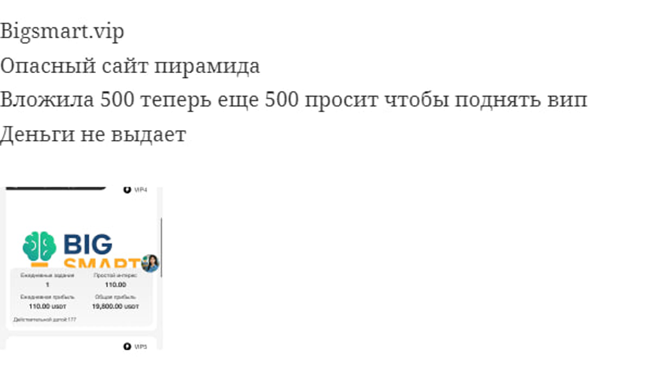 Bigsmart vip