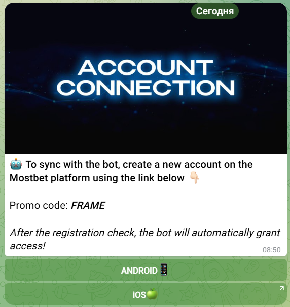 chicken road bot